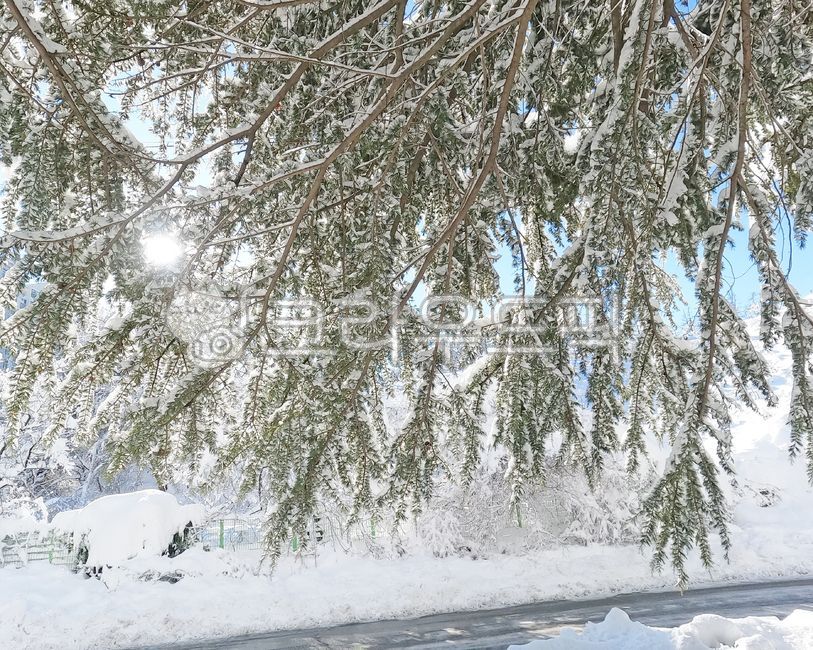 snow mountain,snow scene,winter,snowing,evergreen,lake,snowy day