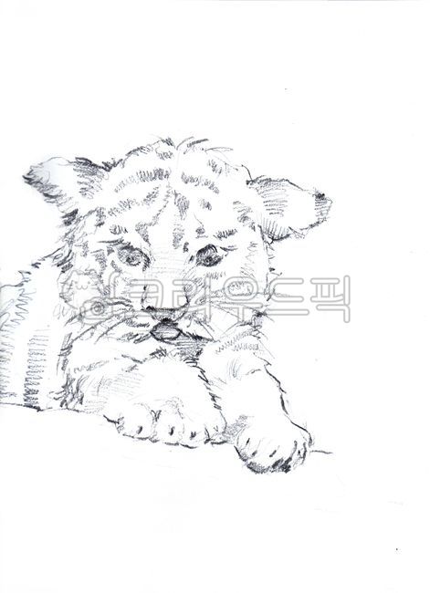 New Year 2022,art,Art,tiger illustration,2022,tiger,black and white drawing,black and white tiger illustration,tiger picture,painting,drawing,animal,illustration,sketch,Year of the tiger