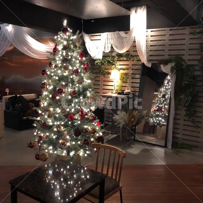 크리스마스,나무,크리스마스장식,반짝반짝,장식,트리,크리스마스트리,christmastree,christmas,메리크리스마스,성탄절,merry christmas