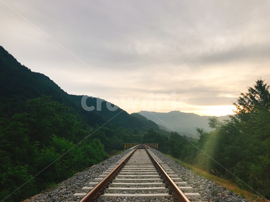 기찻길,시골,자연,새벽,아침,여름,철도,railway