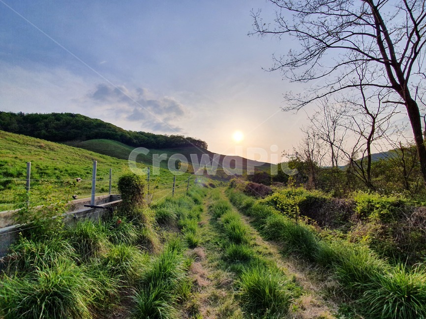 nature,자연,outdoors,옥외,잔디,풍경,하늘,푸른,노을