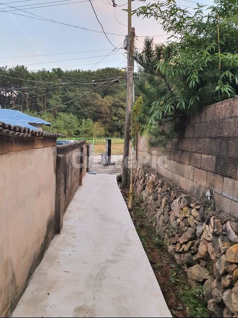 시골,풍경,감성,느낌,가을,분위기,골목길,alley