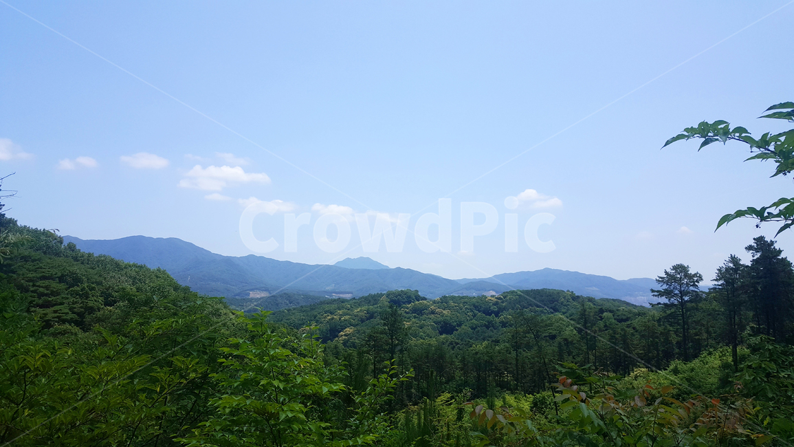 산,여름,봄,하늘,정상,등산,초록,파랑,구름,화창한,푸른하늘,맑은날,식물,mountain,summer,spring,sky,summit,climb,abstract,blue,clouds,sunny,bluesky,clearday,flora,자연,풍경,nature,landscape,outdoors,옥외