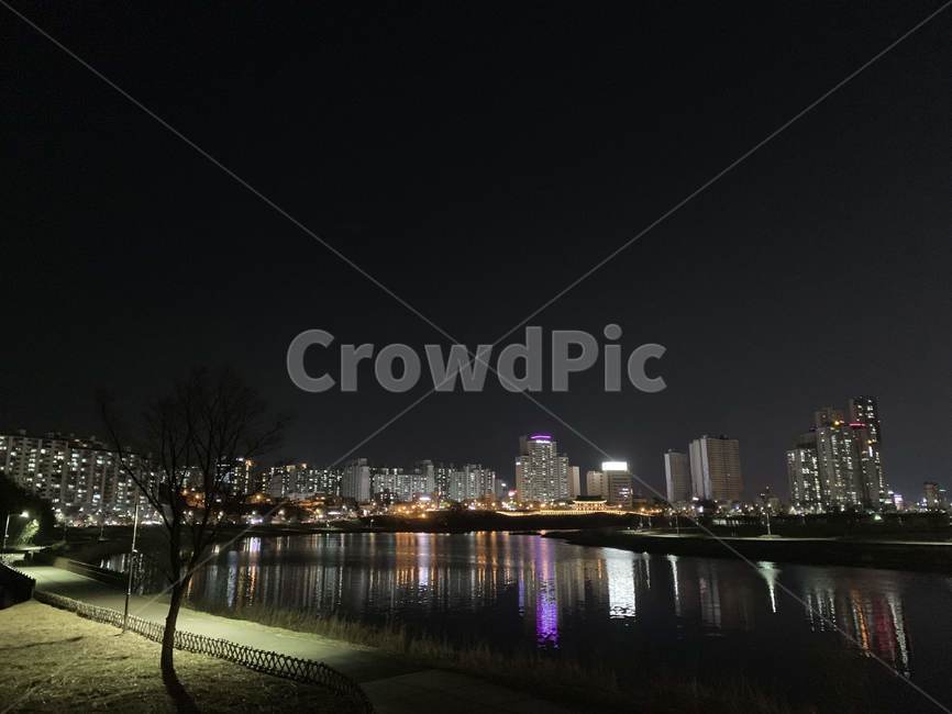 울산,태화강,야경,태화강야경,밤풍경