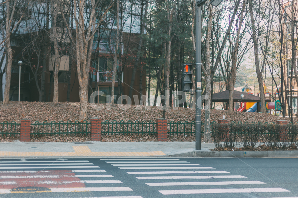 건널목,횡단보도,신호등,동네,풍경,배경화면,길,도로,landscape,city,한국도시풍경,한국도시경관,korea,cityscape,건물,도시,풍경,city,landscape,asphalt,아스팔트,road