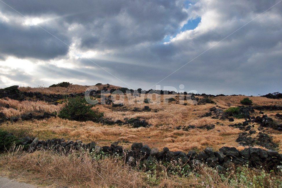 바람의언덕,섭지코지,서귀포시,제주,먹구름,자연,빛내림,자연,풍경,nature,landscape,한국자연풍경,한국자연경관,korea nature landscape,제주도,jeju,jeju island,outdoors,옥외