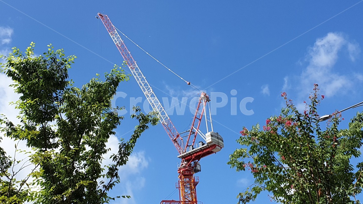 towercrane,건설,가로수,하늘,대조