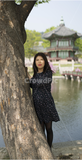 경복궁,향원정,꽃무늬원피스,나무,연못,여자,한국전통,한국문화,korean traditional,korean culture,랜드마크,landmark,tourist attraction,한국랜드마크,한국관광지,한국명소,korea landmark,korea tourist attraction,사람,인물,인간,human,person,여성,여자,woman,female,lady