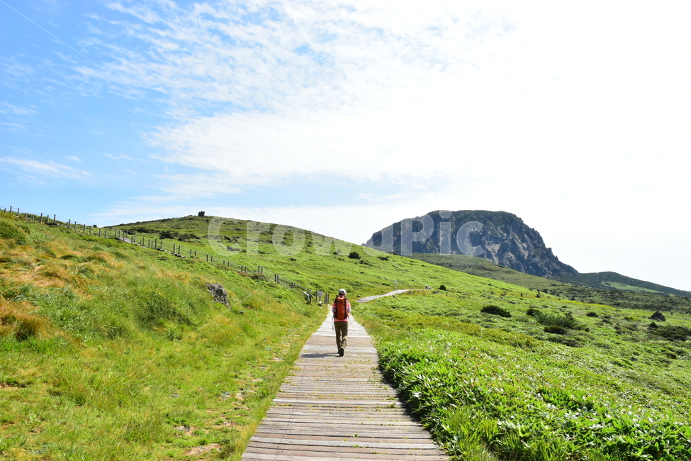 영실,한라산,제주,기암괴석,절경,자연,남벽,풍경,힐링,여름,계절,탐방,등산,season,nature,landscape,한국자연풍경,한국자연경관,korea,naturelandscape,제주도,jeju,jejuisland,자연,풍경,nature,landscape,한국자연풍경,한국자연경관,korea nature landscape,제주도,jeju,jeju island,사람,인물,인간,human,person,여행,휴가,traveling,vacation,trip,outdoors,옥외,path,통로,hill,언덕