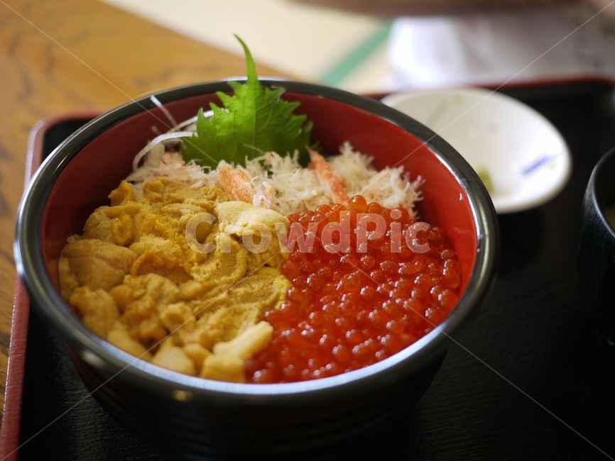 food,음식,meal,식사,dish,요리,salmonroe,seaurchin,unidong,seaurchinbowl,연어알,성게,성게덮밥,음식,식재료,요리,food,cook,meal,dishes,food reserves,일식,일본음식,일본요리,Japanese food,Japanese dishes,Japanese meal,Japanese cook