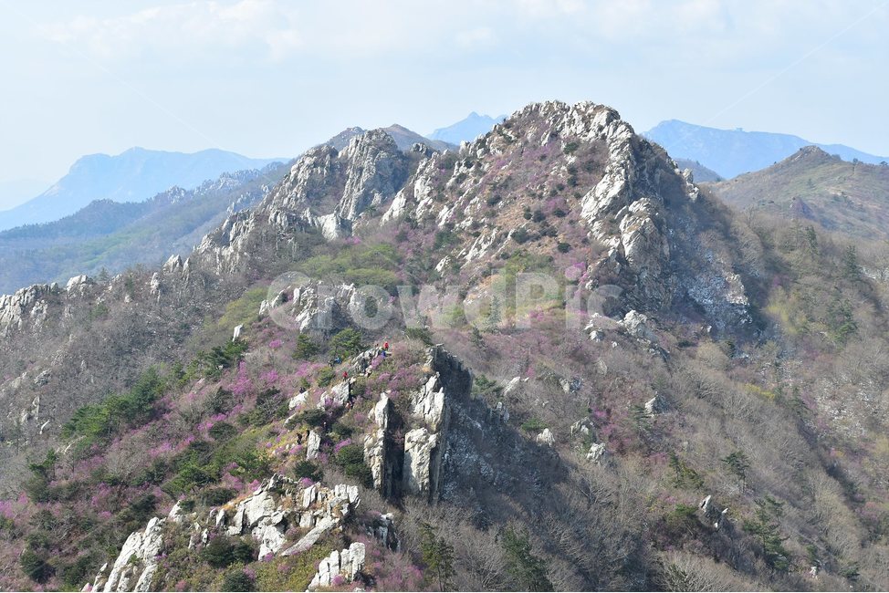 주작산,덕룡산,종주,진달래,풍경,기암,바위,비경,봄풍경,진달래꽃,강진,명산,산행,등산,마운틴,힐링,mountain,landscape,자연,natural,자연,풍경,nature,landscape,한국자연풍경,한국자연경관,korea nature landscape,slope,경사,outdoors,옥외,산,mountain range,산맥