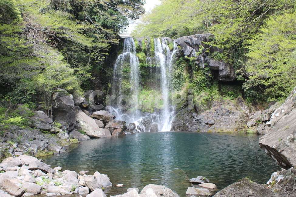 제주,폭포,천제연폭포,천제연3단폭포,제주폭포,자연,풍경,nature,landscape,제주도,jeju,jeju island,water,물,outdoors,옥외,river,강,waterfall
