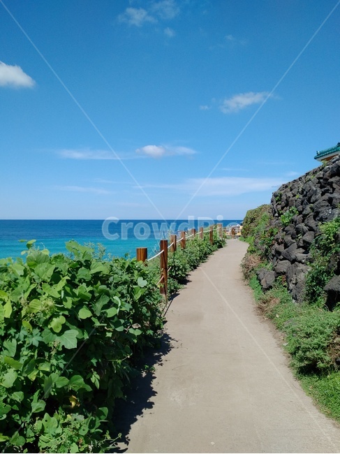 해안산책로,바닷길,해변산책로,바다산책로,휴식,바다,해안가,해변가,평화로운,돌담길,beach,trail,walkway,peaceful,해안선,horizon,푸른바다,울타리길,sunny,sea,산보,휴양지,vacation
