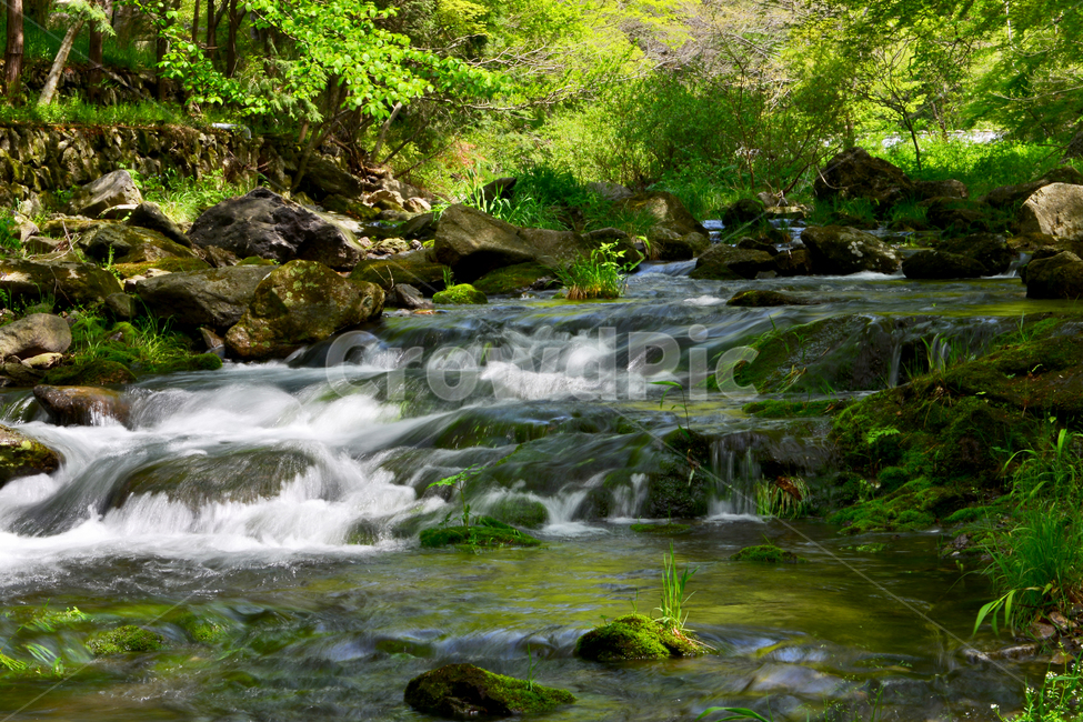 stream,흐름,장성,백양사,신록,연두색,봄,계절,nature,자연,water,물,outdoors,옥외,자연,풍경,nature,landscape,한국자연풍경,한국자연경관,korea nature landscape