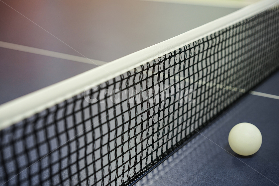 탁구,탁구공,네트,그물망,탁구대,tabletennis,스포츠,레저,운동,sports,leisure,exercise,사물,물건,오브젝트,thing,object,matter