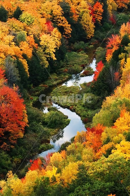 가을,단풍,풍경,속리산,경치,가을,계절,fall,autumn,season,자연,풍경,nature,landscape,tree,나무,plant,식물,maple,outdoors,옥외,water,물,scenery