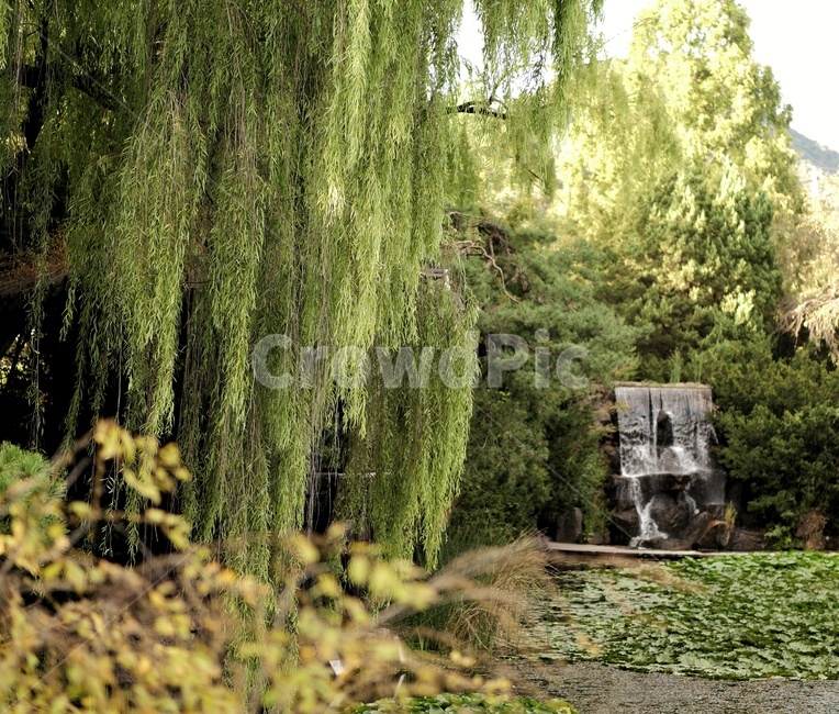 녹색,풍경,물,자연,나뭇잎,자연,풍경,nature,landscape,tree,나무,plant,식물