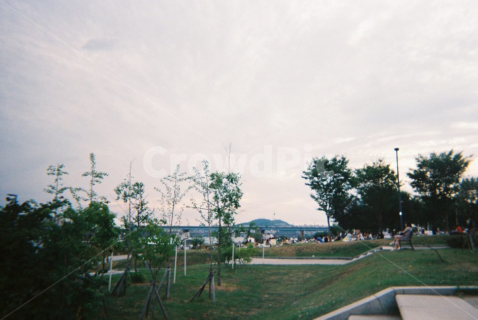잔디,한강,뚝섬,공원,park,나무,하늘