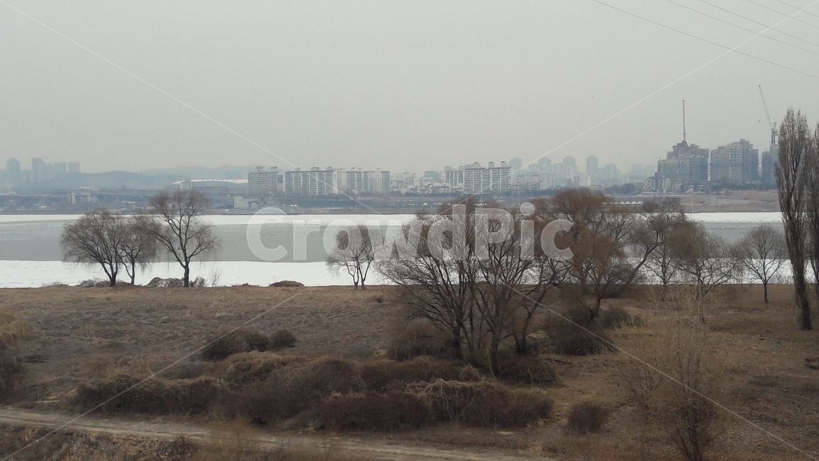 한강,나무,얼음,겨울,선유도,겨울,계절,winter,season,도시,풍경,city,landscape,한국도시풍경,한국도시경관,korea cityscape,식물,자연,plants,nature,outdoors,옥외