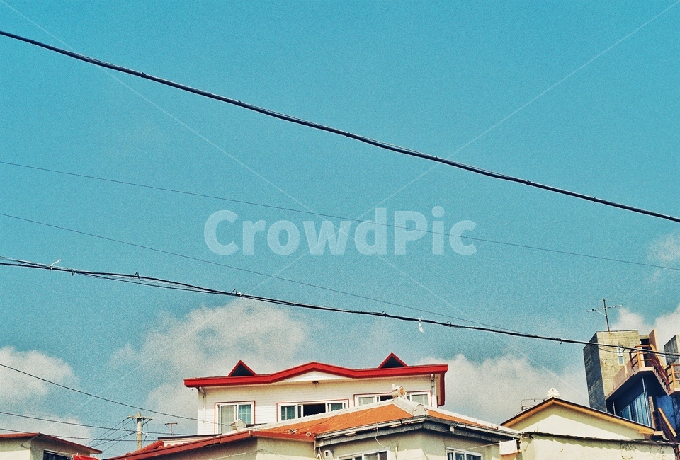 필름사진,민트,단독주택,색감,하늘,sky,제주,제주도,film,필름,감성,전봇대,주택,집,house,블루스카이,bluesky,여름,시원한,도시,풍경,city,landscape
