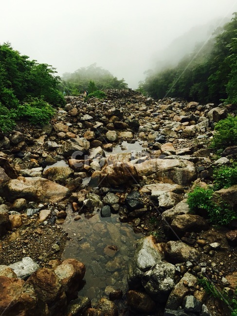 6월,지리산,등산,풍경,안개,계곡,자연