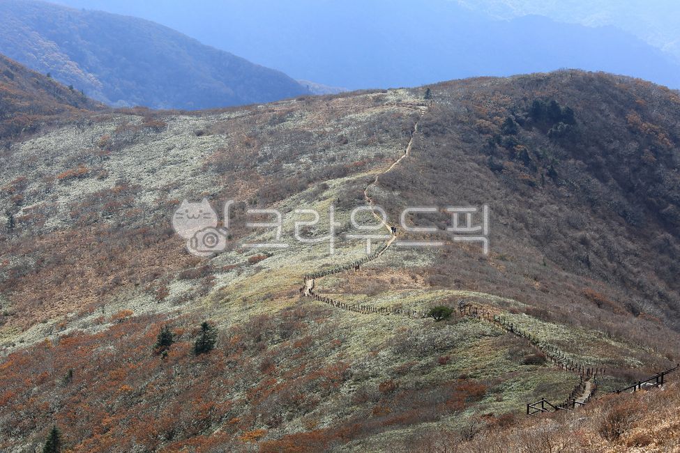 A national park,Hill,anationalpark,scenery,Deogyusan Mountain,mountain,view,fall,road,autumn mood,plateau,sight,floor,nature,autumn background,slope,hill,outdoors,ground,october,autumn,Deogyupyeongjeon