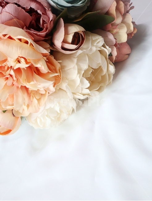 plant,식물,flower,꽃,blossom,bouquet,꽃다발