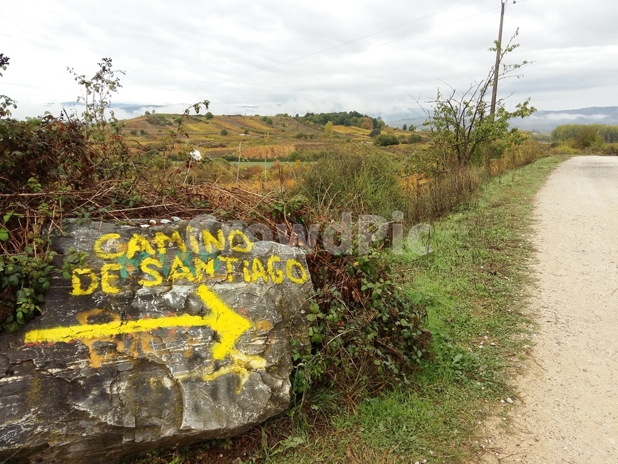 산티아고순례길,스페인풍경,순례길풍경,나무,길,노란화살표,이정표,구름,camino,caminodesantiago