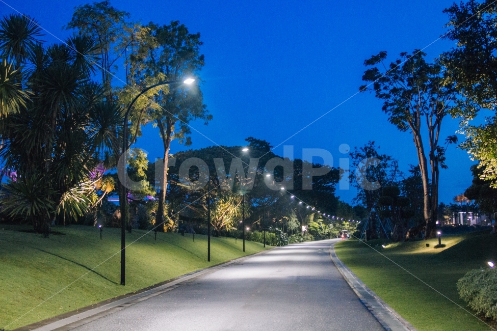 싱가포르,공원,야경,가로등,불빛,길,여름,밤,night,singapore,park,lamp,light,evening,자연,풍경,nature,landscape,야경,밤,nightscape,night,asphalt,아스팔트,road,도로