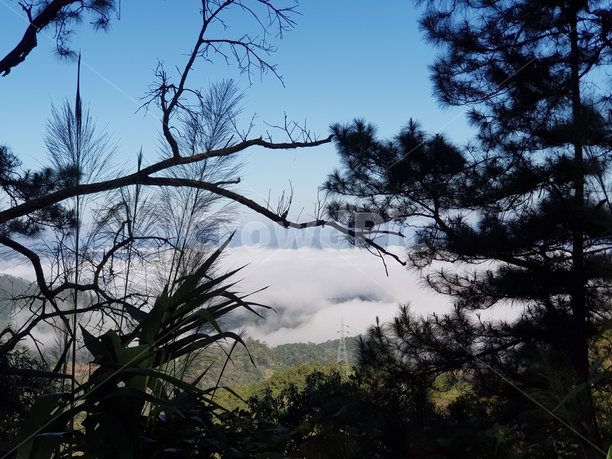 자연,구름,구름비다,산정상,맑은하늘,공기,nature,cloud,sky,배경화면