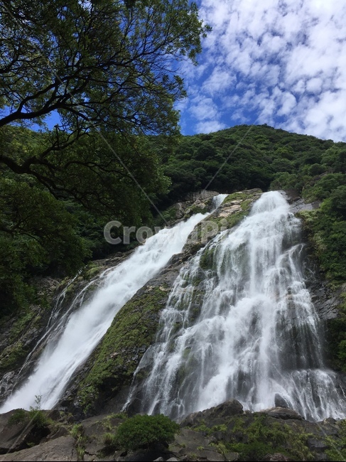 일본,폭포,오코노타키폭포,산,야쿠시마,자연,풍경,nature,landscape,river,강,water,물,outdoors,옥외,waterfall