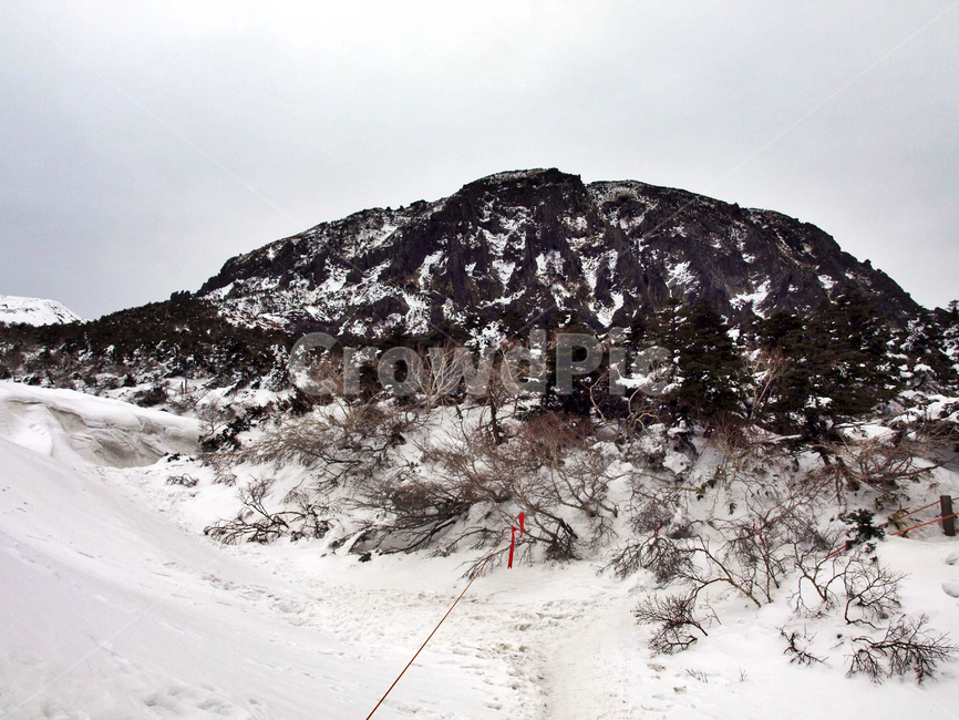 어리목,제주도,한라산,겨울산,겨울,설경,설화,눈,백록담,겨울,계절,winter,season,자연,풍경,nature,landscape,outdoors,옥외