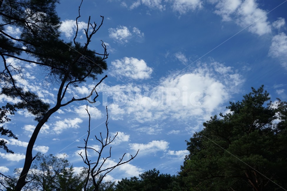 하늘,구름,푸른하늘,자연,풍경,가을,계절,배경,배경사진