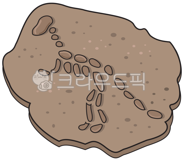 화석,화석일러스트,공룡화석,돌,과학,탐구,화석발굴,공룡,바위,고대,판석,일러스트,화석그림,삽화,아이콘,그림,탐색
