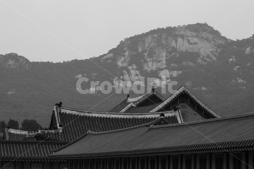경복궁,전통,여행,흑백사진,궁궐,모노크롬,감성,빈티지,한국전통,한국문화,korean traditional,korean culture,랜드마크,landmark,tourist attraction,한국랜드마크,한국관광지,한국명소,korea landmark,korea tourist attraction,흑백,모노톤,monochrome,black and white,건축물,건물외관,exterior,building,structure,architecture,construction