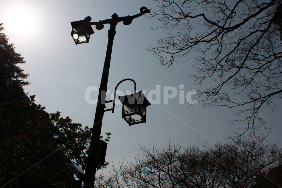 가로등,하늘,나무,streetlamp,sky,tree