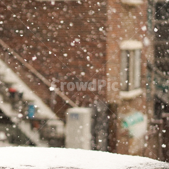 눈,겨울,snow,winter,눈보라