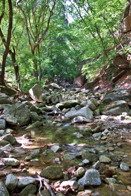 계곡,오봉산,춘천,바위,계류,숲,자연,암석,자연,풍경,nature,landscape,water,물,outdoors,옥외,stream,흐름,creek,작은 만