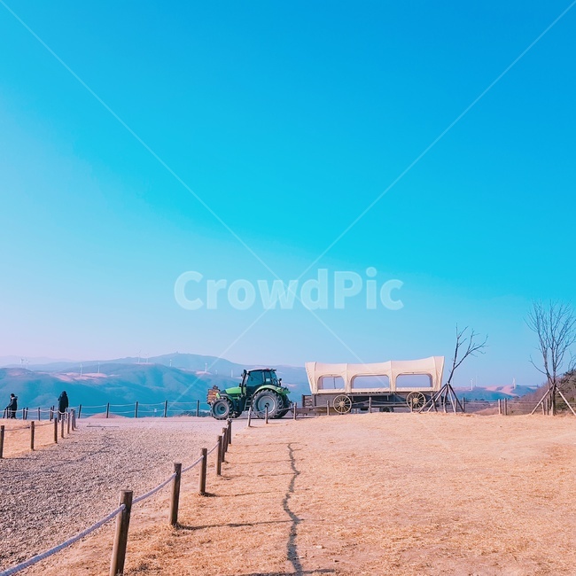 도로,흙길,자갈,겨울,대관령목장