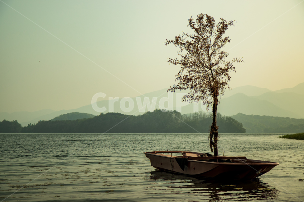 나룻배,나무,두물머리,양평,나무한그루,자연,풍경,nature,landscape,한국자연풍경,한국자연경관,korea nature landscape,transportation,교통,vehicle,차량,watercraft,선박