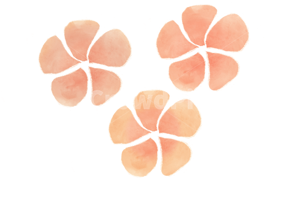 꽃,생화,수채화,일러스트,removebackground,스티커,누끼,누끼,remove background