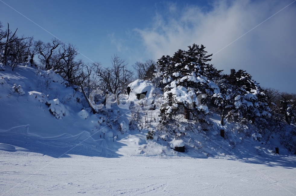 겨울,산,등산,덕유산,무주,눈,설경,나무,풍경,한국자연경관,한국풍경,하늘,snow,winter,tree,nature,설산,겨울,계절,winter,season,자연,풍경,nature,landscape,outdoors,옥외