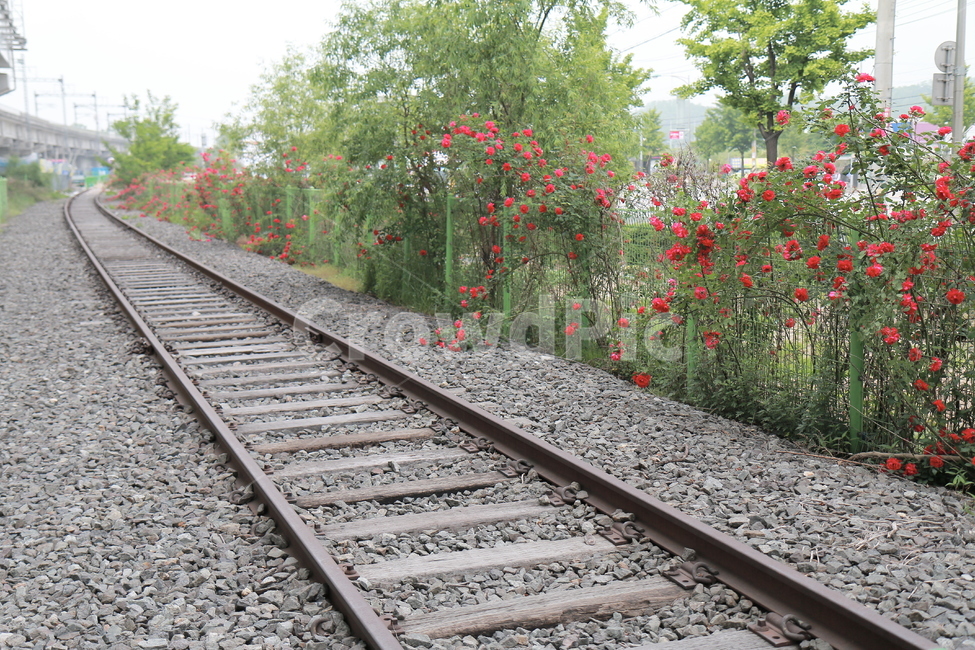 철도,레일,기찻길,교통,transportation,railway,traintrack,rail,기차길,전철길,전철