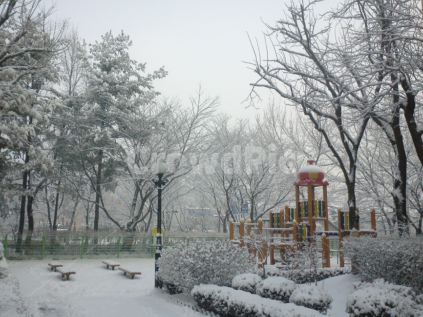 눈,snow,겨울,winter,놀이터,경치,겨울,계절,winter,season