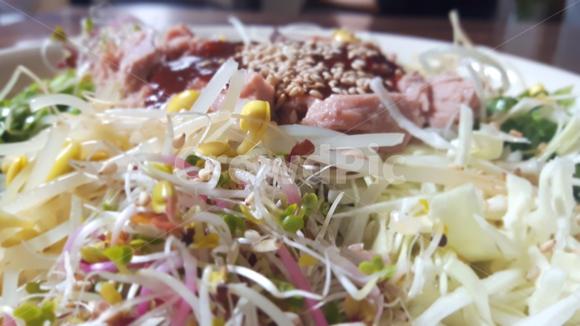 새싹,새싹비빔밥,저녁,콩나물,채소