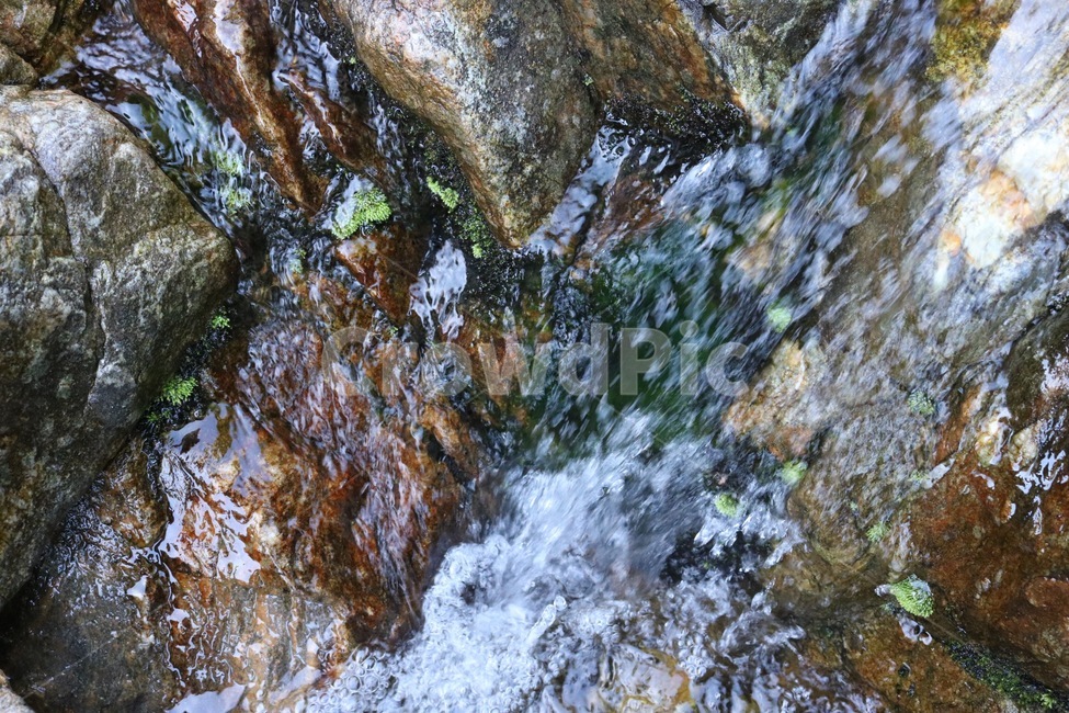 여름,휴가,계곡,물,나무,식물,초록,돌,바위,summer,natsu,vacation,kyuuka,valley,keikoku,water,mizu,tree,ki,plants,shokubutsu,green,midori,stone,ishi,rock,iwa,자연,풍경,nature,landscape,outdoors,옥외