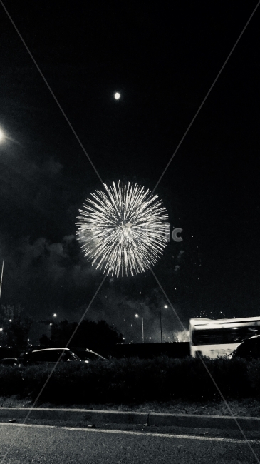 흑백,불꽃,밤,불꽃놀이,여의도,야경,밤,풍경,nightscape,night,landscape,축제,행사,festival,carnival,event,흑백,모노톤,monochrome,black and white,nature,자연,outdoors,옥외