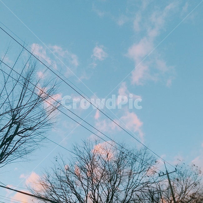 하늘,자연,날씨,낮,nature,전깃줄