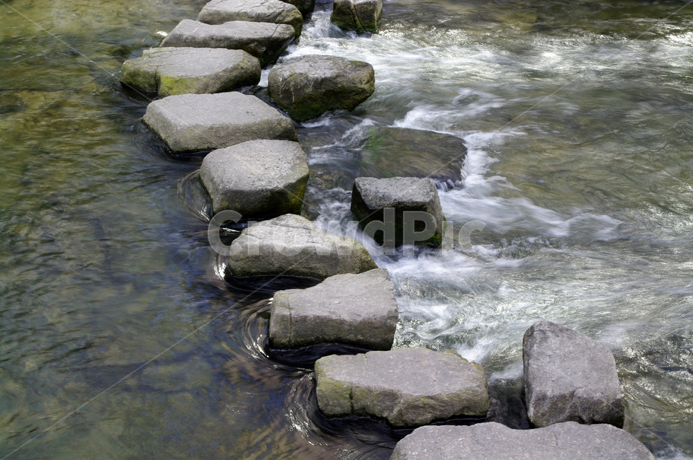 강,물결,징검다리,돌다리,물살,내천,자연,풍경,nature,landscape,water,물,outdoors,옥외