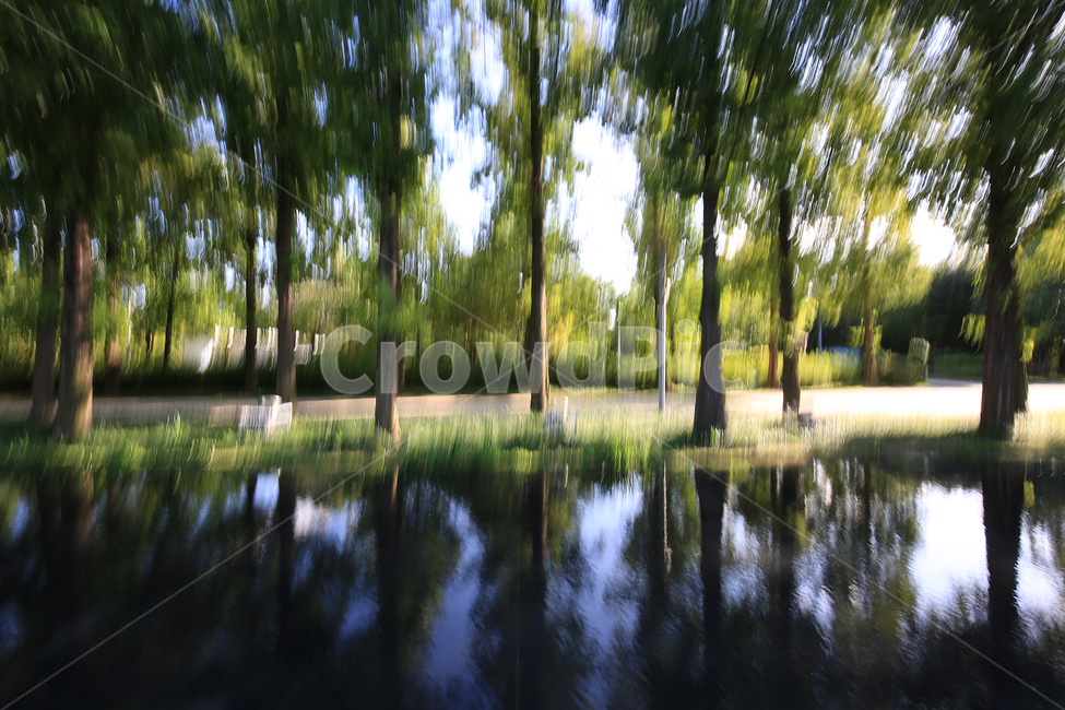 서울숲공원,나무,주밍샷,park,초록,green,tree,zooming,자연,풍경,nature,landscape,land,땅,outdoors,옥외,plant,식물,water,물